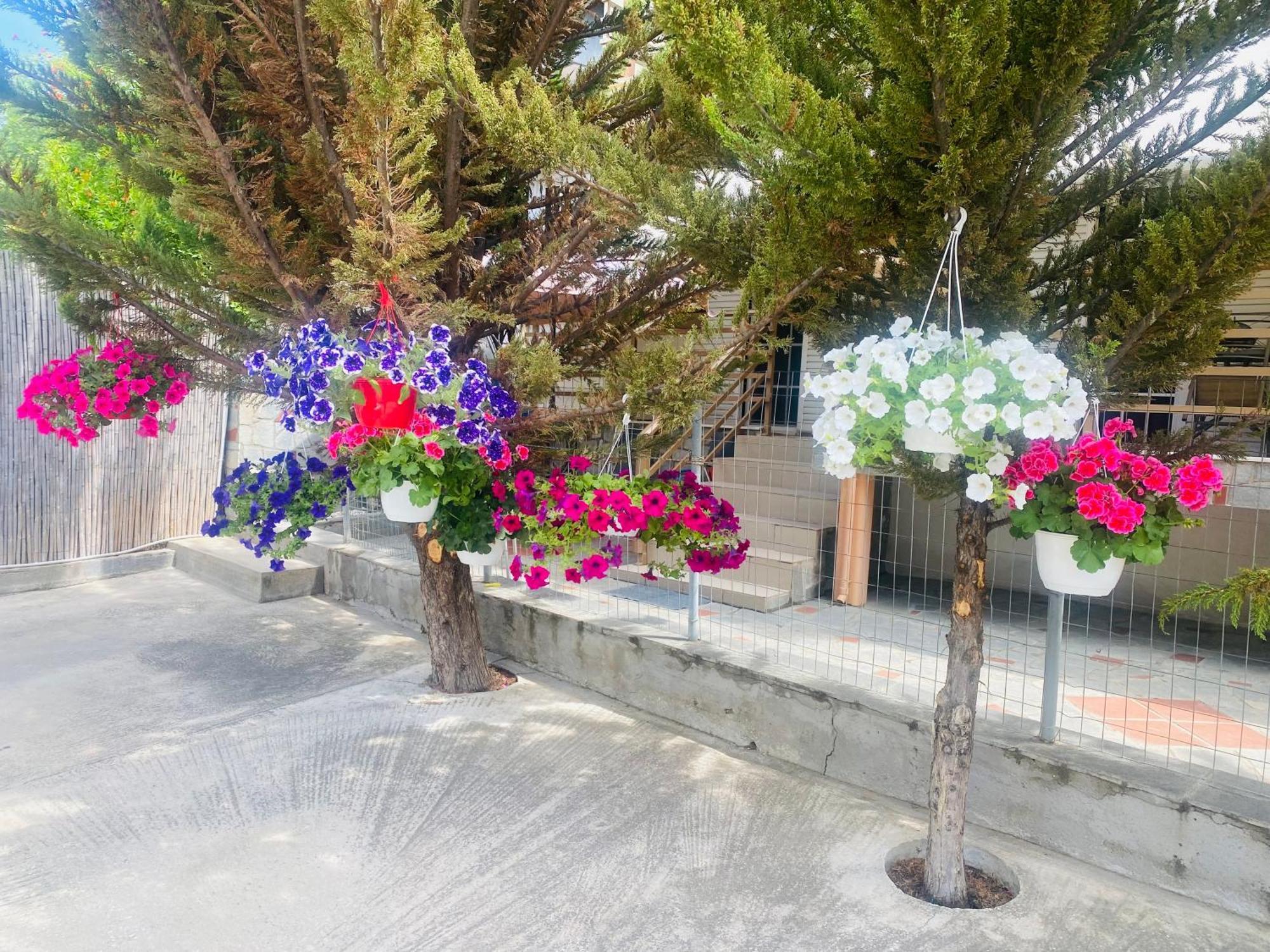Markos Studios Потос Экстерьер фото